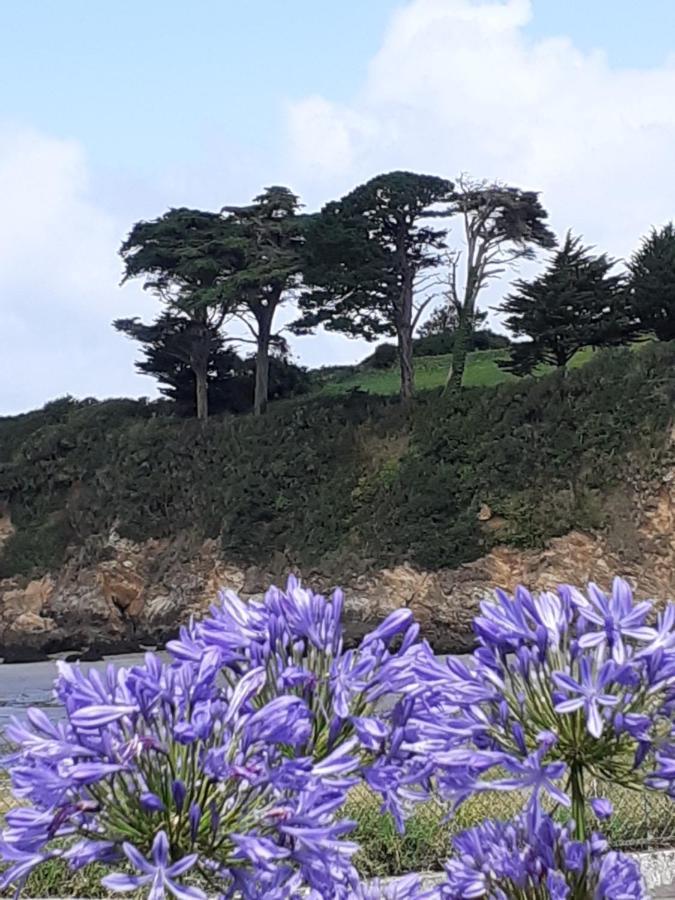 Bed and Breakfast Izella Douarnenez Exterior foto